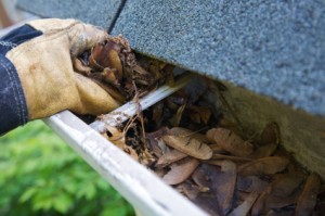 Arlington Heights Gutter Cleaning